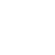 Vikalpani Eco Seeds